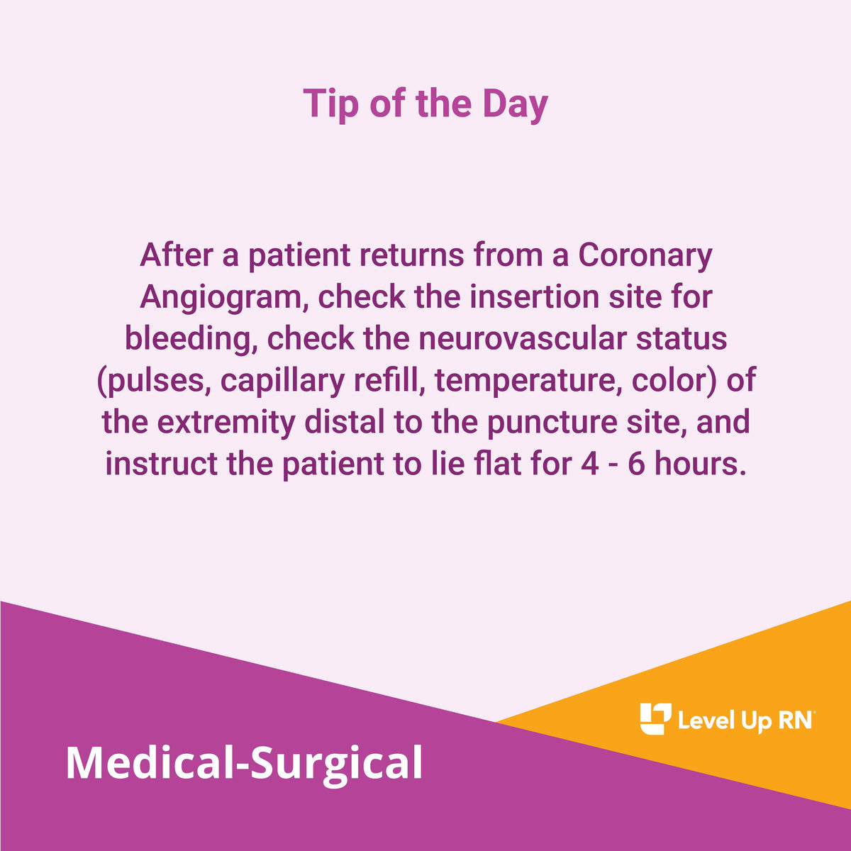 After a patient returns from a Coronary Angiogram, check the insertion site for bleeding, check the neurovascular status of the extremity distal to the puncture site, and instruct the patient to lie flat for 4 - 6 hours.