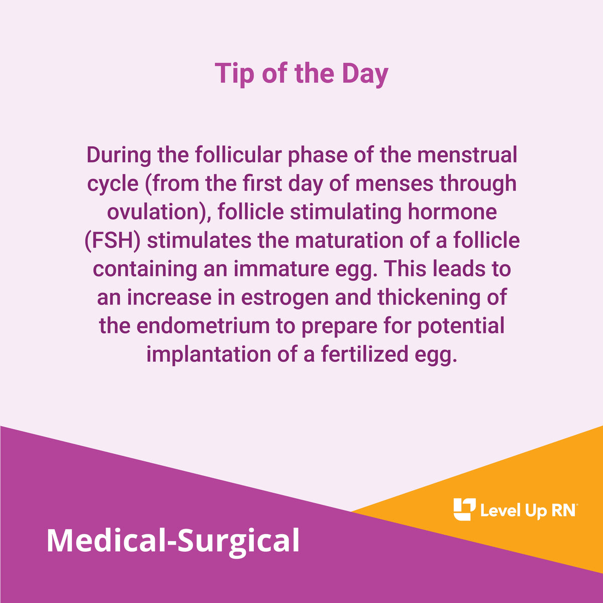 During the follicular phase of the menstrual cycle (from the first day of menses through ovulation), follicle stimulating hormone (FSH) stimulates the maturation of a follicle containing an immature egg.