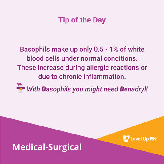 Basophils make up only 0.5 - 1% of white blood cells under normal conditions. These increase during allergic reactions or due to chronic inflammation.