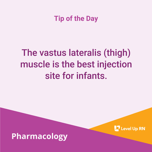 The vastus lateralis (thigh) muscle is the best injection site for infants.