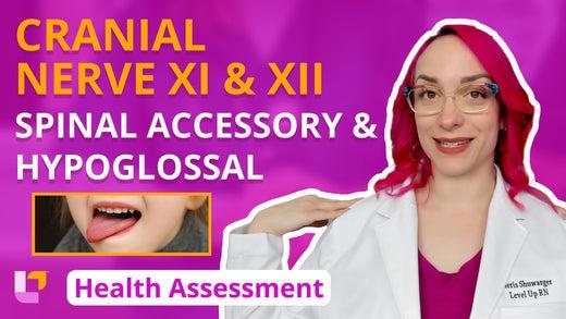 Health Assessment, part 29: Cranial Nerve XI - Spinal Accessory & Cranial Nerve XII - Hypoglossal