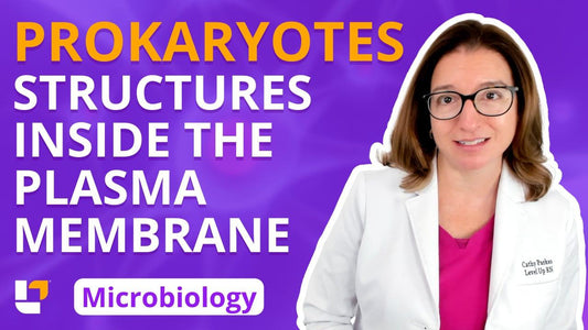 Microbiology, part 10: Prokaryotes - Structures Inside the Plasma Membrane