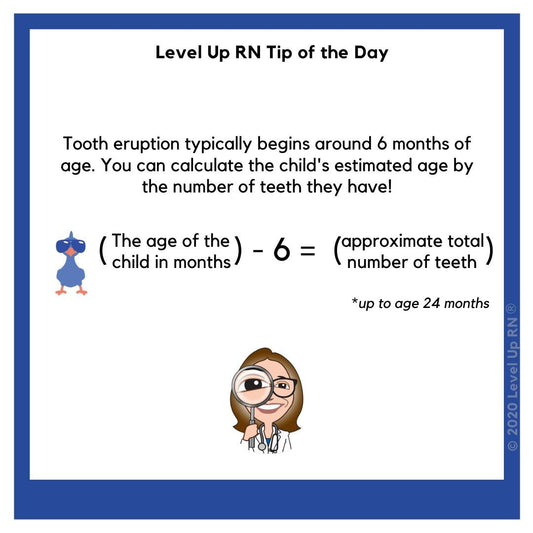 Tooth eruption typically begins around 6 months of age. You can calculate the child's estimated age by the number of teeth they have!  The age of the child in months - 6 equals the approximate total number of teeth (up to age 24 months).
