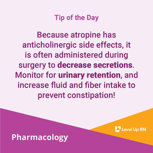 Because atropine has anticholinergic side effects, it is often administered during surgery to decrease secretions.