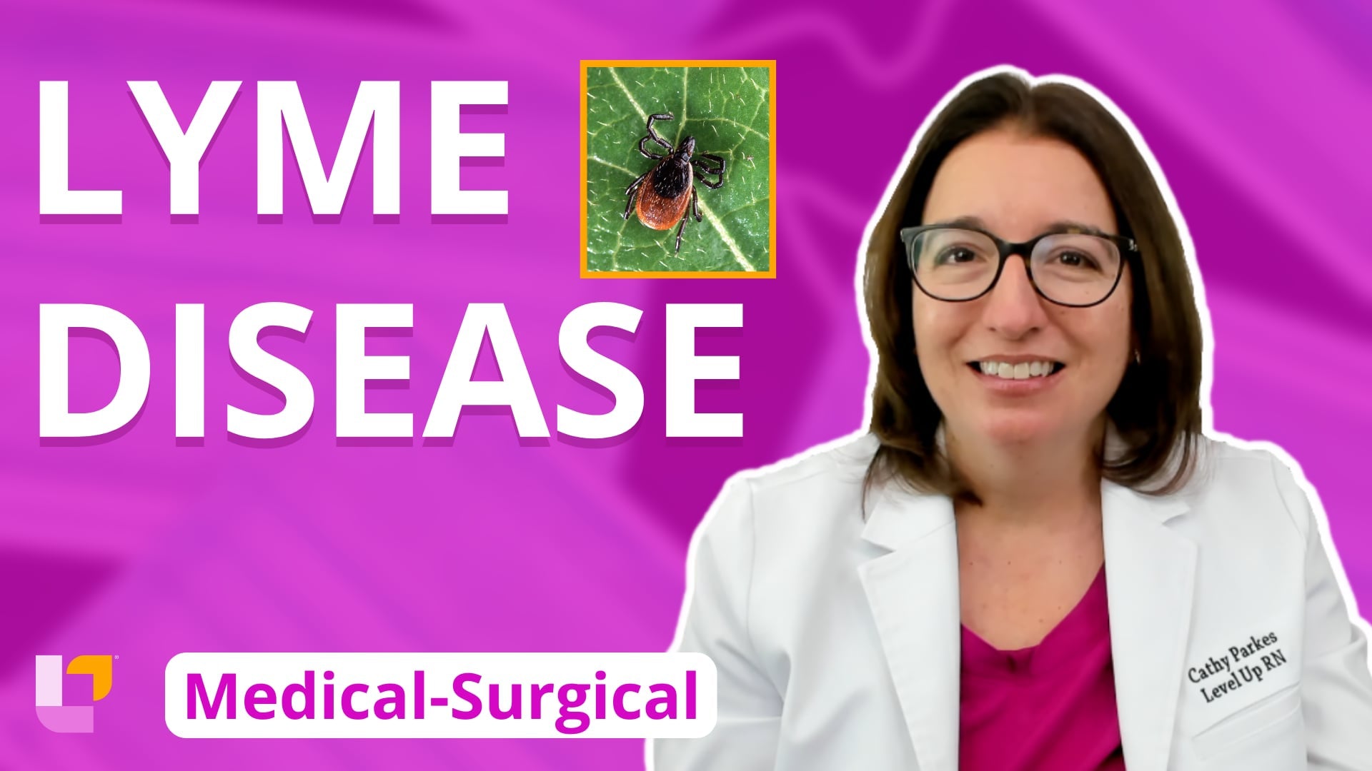 Med-Surg - Integumentary System, part 9: Lyme Disease - LevelUpRN