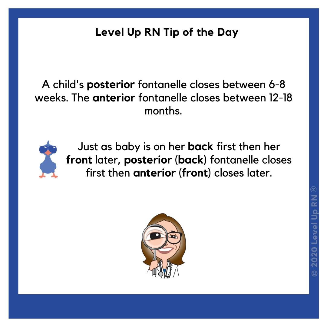 A child's posterior fontanelle closes between 6-8 weeks. The anterior fontanelle closes between 12-18 months. Hint: A baby starts on its back first then her front later