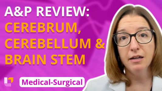 Med-Surg - Nervous System, part 2: A&P Review - Cerebrum, Cerebellum, Brain Stem - LevelUpRN