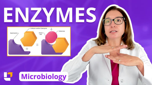 Microbiology, part 18: Metabolism - Enzymes