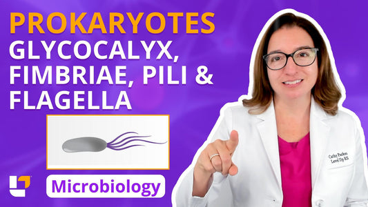 Microbiology, part 12: Prokaryotes - Glycocalyx, Fimbriae & Pili, & Flagella