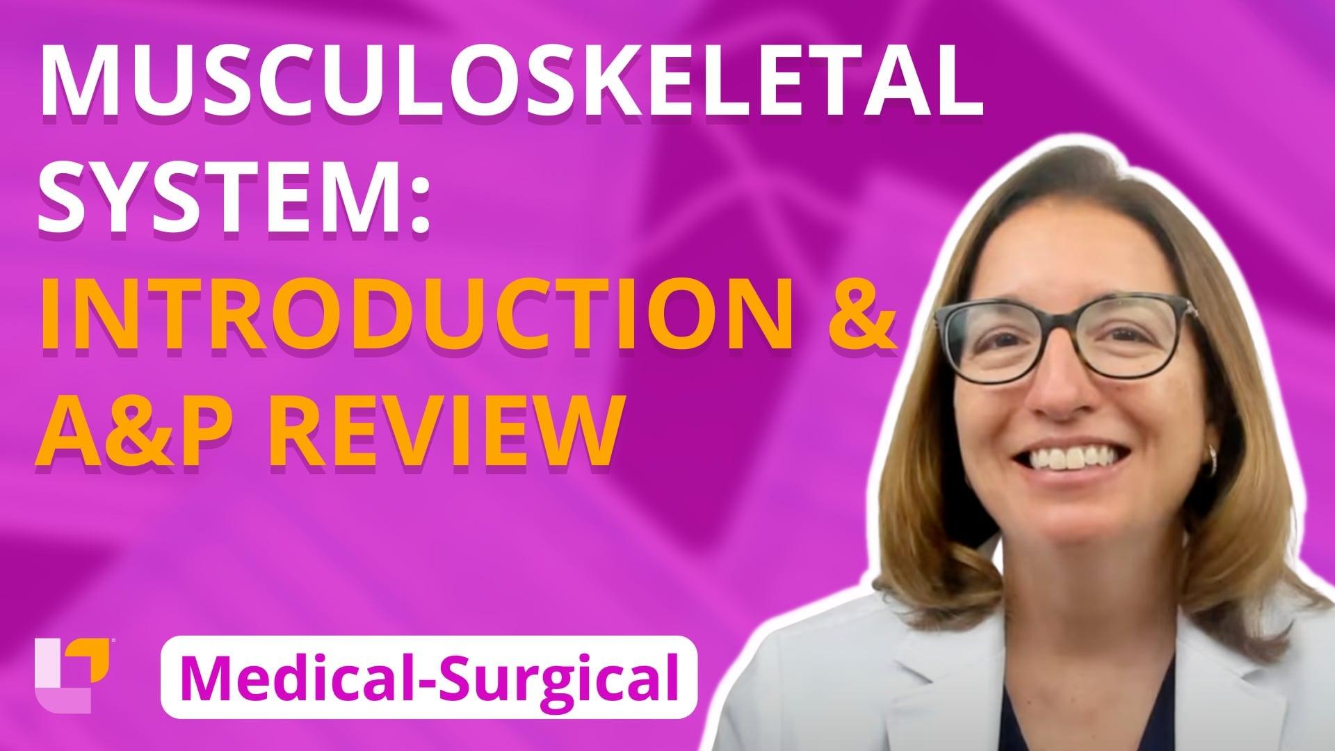 Musculoskeletal System: Introduction, Anatomy/Physiology Review