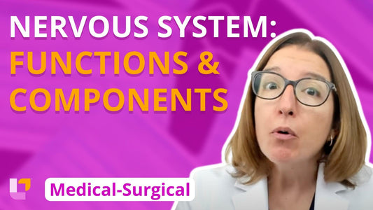 Med-Surg - Nervous System, part 1: Introduction, Nervous System Functions and Components - LevelUpRN