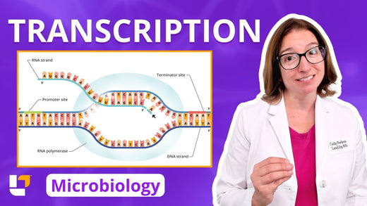 Microbiology, part 34: Genetics - Transcription