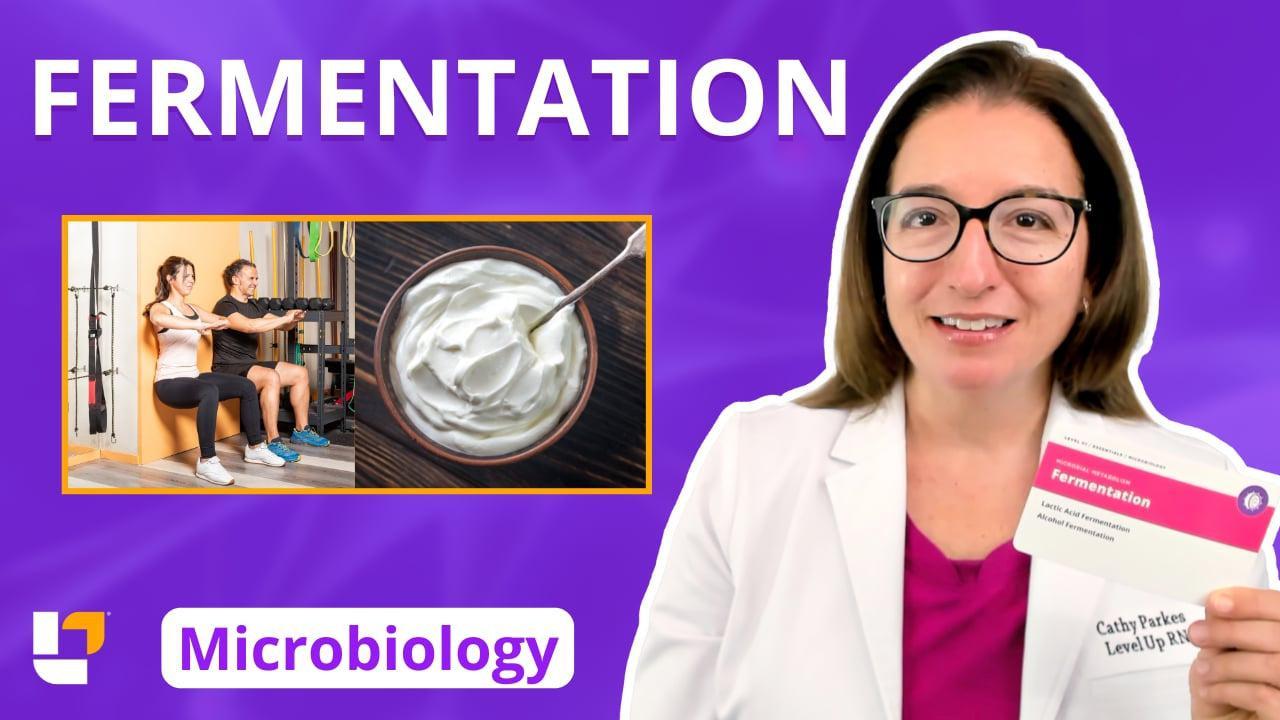 Metabolism - Fermentation - Microbiology – LevelUpRN