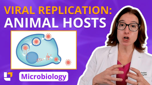 Microbiology, part 46: Acellular Infectious Agents - Viral Replication in an Animal Host