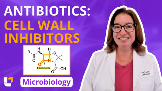 Microbiology, part 55: Control of Growth - Antibiotics - Cell Wall Inhibitors