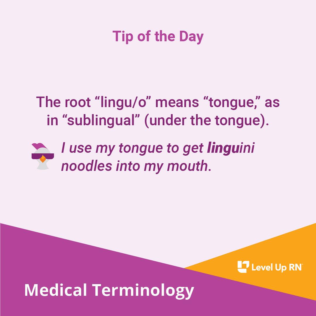 Prefix: Lingu- - LevelUpRN