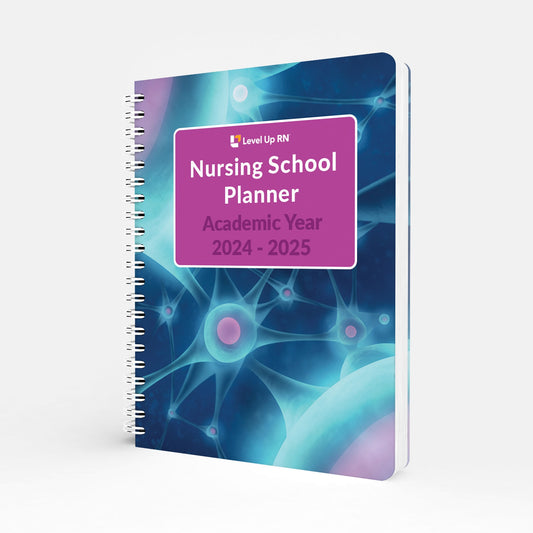 Nursing School Study Planner - Academic Year 2024-2025