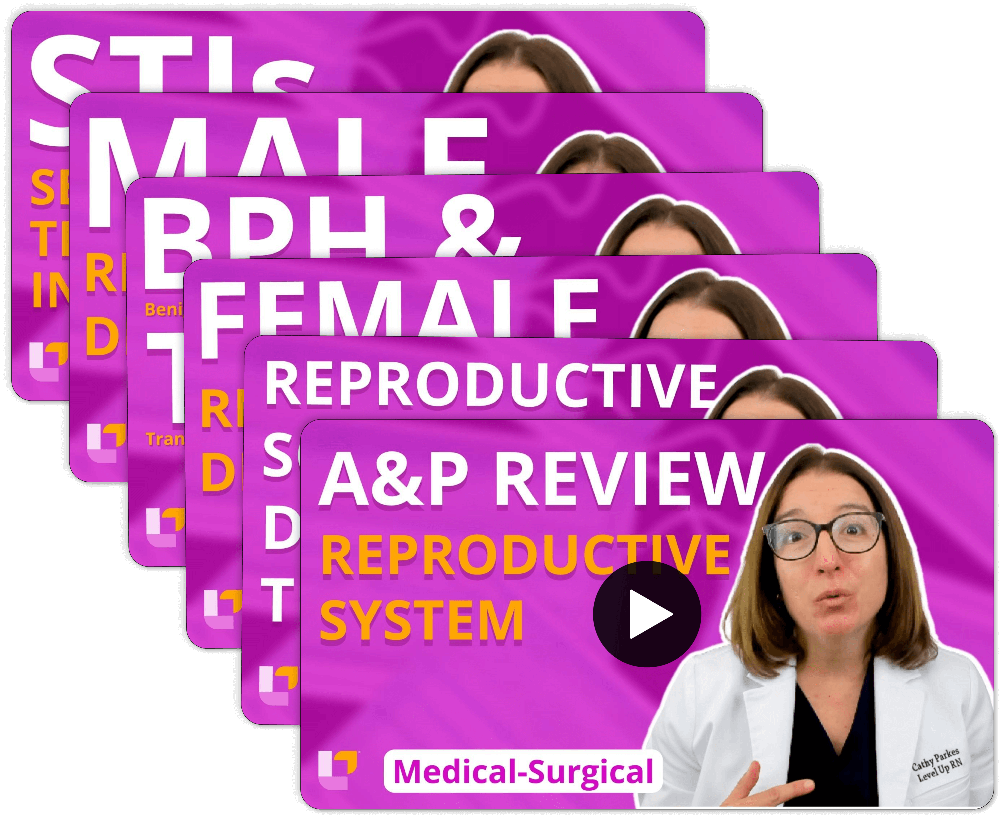 Reproductive system video stack with Cathy Parkes RN covering A&P review and other topics from Medical-Surgical Nursing flashcards