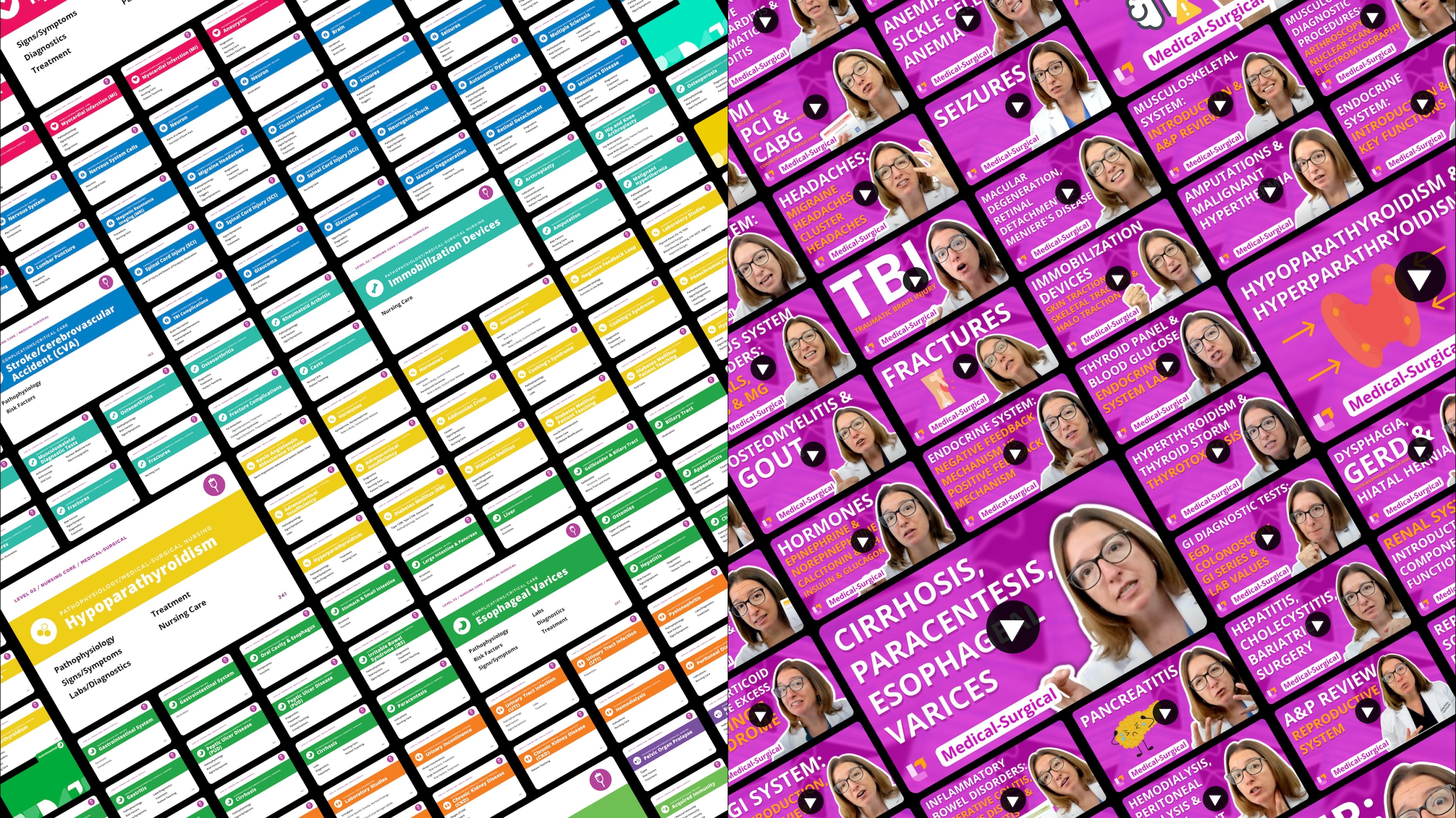 Collage of Level Up RN flashcards and Level Up RN videos